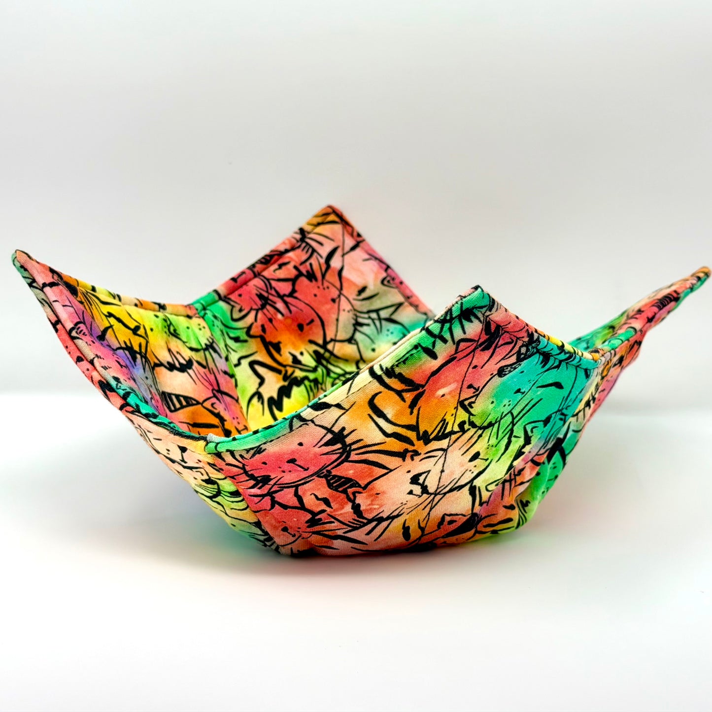 Rainbow Cats Bowl Hug