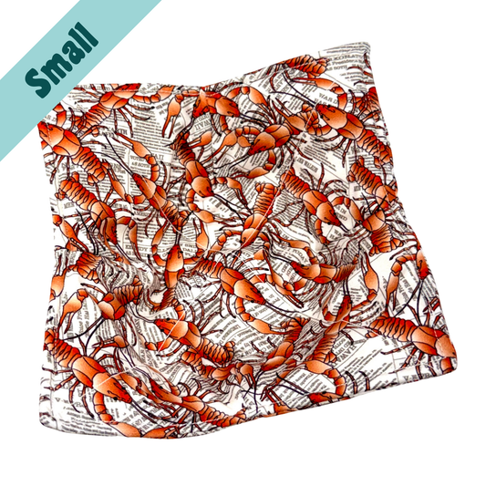 Crawfish Newspaper Small Bowl Hug