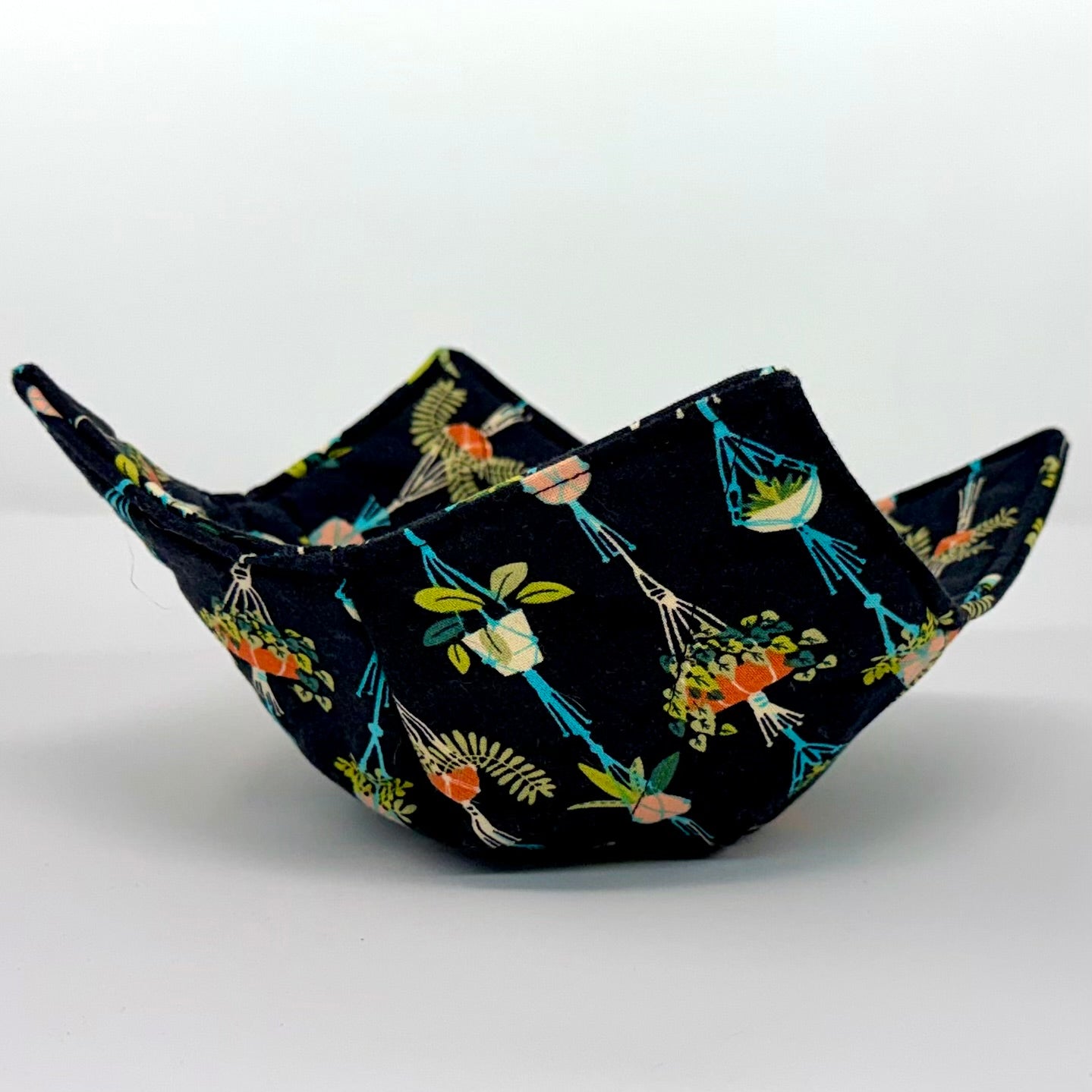 Hanging Plants Bowl Hug