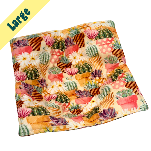Succulents Large Bowl Hug