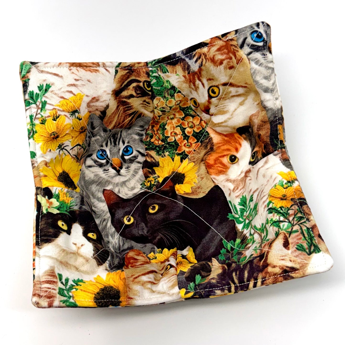 Sunflower Cats Bowl Hug